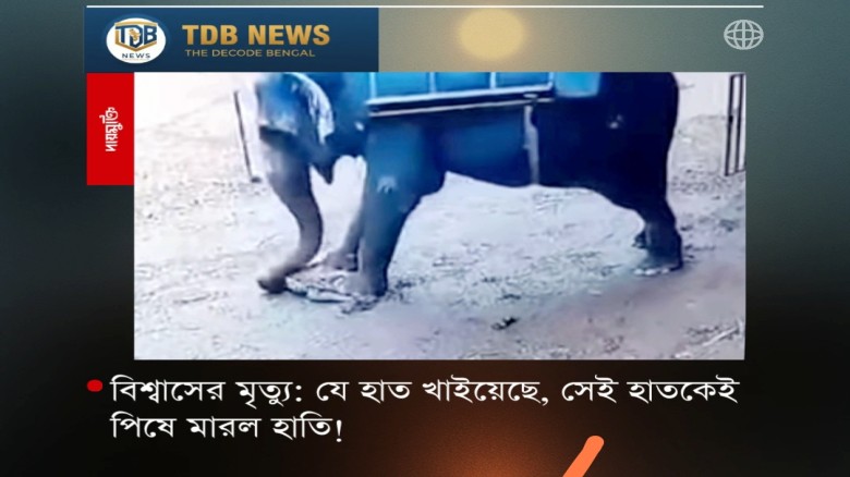 বিশ্বাসের মৃত্যু: যে হাত খাইয়েছে, সেই হাতকেই পিষে মারল হাতি!...